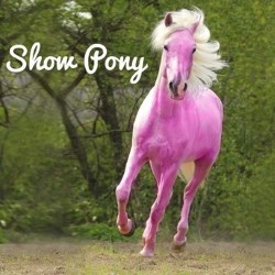 A show pony.
